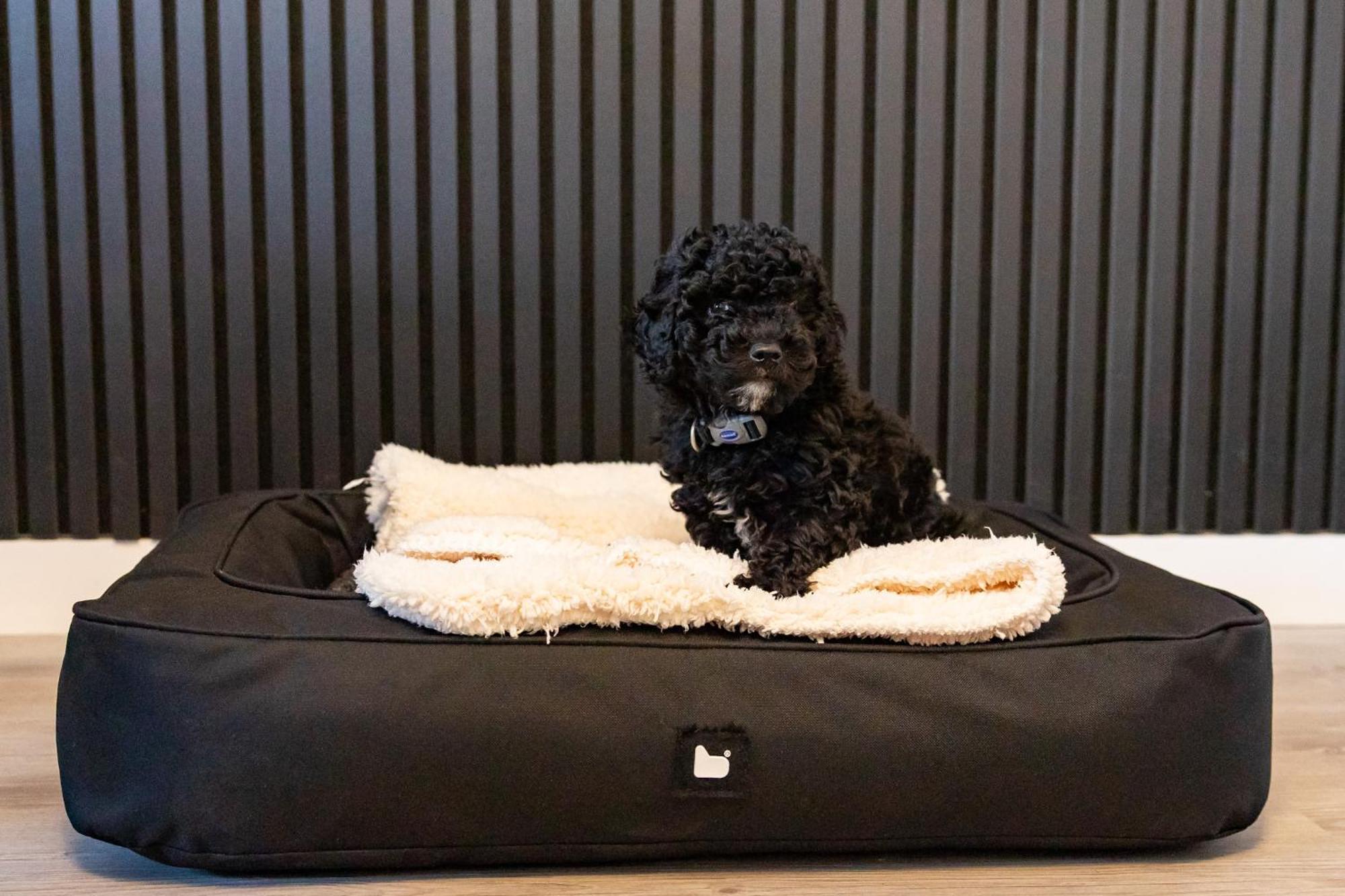 Sunbeam House 1 Pet Friendly Appartamento *